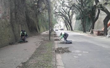 El Municipio realizó tareas de limpieza urbana en Punta Chica
