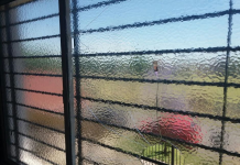 Intimidación y robo en la Dirección de Niñez y Juventud