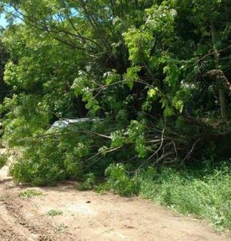 Garín Maschwitz, Belén y Maquinista Savio fueron los lugares más afectados en Escobar por el temporal