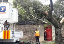 El equipo de Tres de Febrero trabaja sobre las consecuencias del temporal