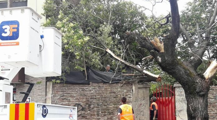 El equipo de Tres de Febrero trabaja sobre las consecuencias del temporal