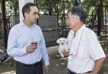 Tagliaferro: “En el Quirófano Móvil se vacunan más de mil mascotas por mes”