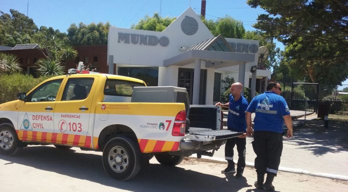 Exitoso rescate a un lobo marino en la costa de Vicente López
