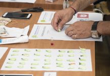 La Policía de Morón desbarató una banda de travestis narcotraficantes