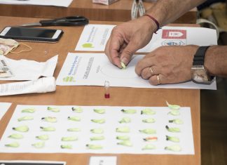 La Policía de Morón desbarató una banda de travestis narcotraficantes