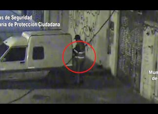 Las cámaras de Tigre lo filmaron cuando intentaba robar una camioneta