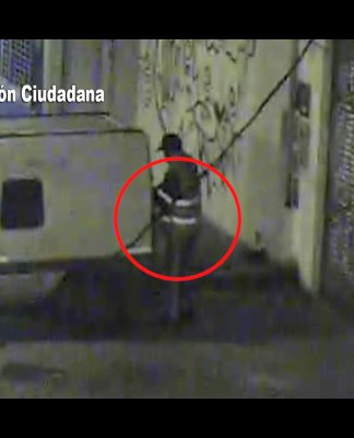 Las cámaras de Tigre lo filmaron cuando intentaba robar una camioneta
