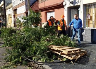 Intenso trabajo en Tres de Febrero para resolver las consecuencias del temporal