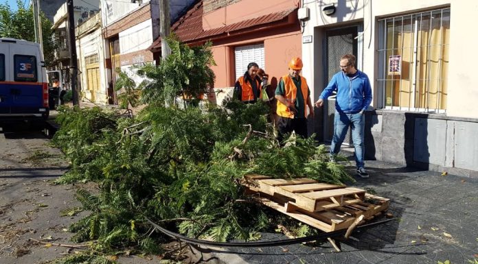 Intenso trabajo en Tres de Febrero para resolver las consecuencias del temporal