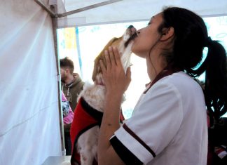 Tres de Febrero cuida la salud y el futuro de los animales