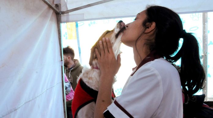 Tres de Febrero cuida la salud y el futuro de los animales