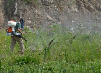San Fernando limpió y realizó control de plagas en distintos barrios de Virreyes