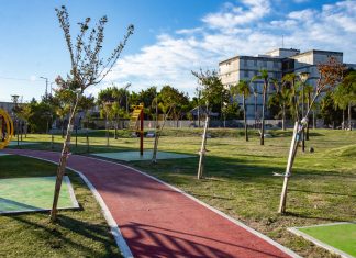 San Fernando plantó más de 35 mil árboles en todo el distrito