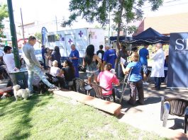 En 2018 San Isidro alcanzó una cifra record en castraciones gratuitas de mascotas