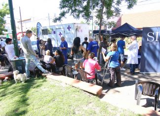 En 2018 San Isidro alcanzó una cifra record en castraciones gratuitas de mascotas