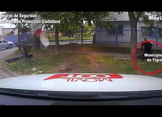 Robó el celular de una mujer, huyó y fue detenido por el COT