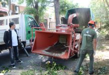 El Plan de Poda 2019 continúa desarrollándose a través de la solicitud web