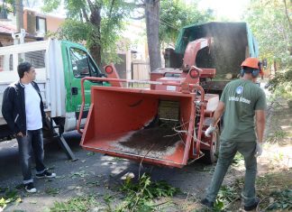 El Plan de Poda 2019 continúa desarrollándose a través de la solicitud web