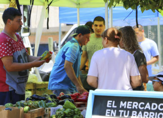 Llegan nuevas ediciones del Mercado en tu barrio a Vicente López