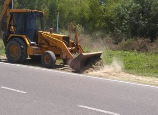 Tigre construye nuevas veredas en Nuevo Delta