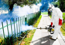 San Fernando continúa sin pausa con las tareas de prevención del dengue