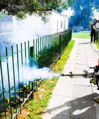 San Fernando continúa sin pausa con las tareas de prevención del dengue
