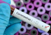 Confirman que ya son 101 los muertos por coronavirus y 2.277 los casos positivos en el país