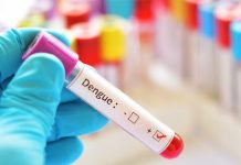 Dengue: El 2020 ya tiene la mayor cantidad de casos de la historia