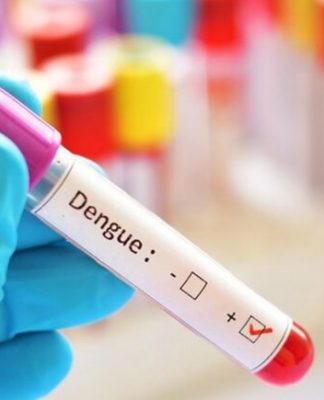 Tres de Febrero: ALERTA POR DENGUE