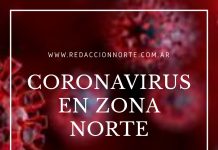 ZONA NORTE: Radiografía del Coronavirus en la Región