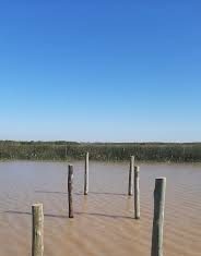 Gustavo Posse difundió la destrucción del muelle clandestino