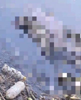 Tigre: Hallaron un cuerpo en el Río Reconquista