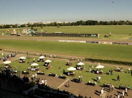 San Isidro: el Hipódromo reabrirá sus puertas y volverán las carreras