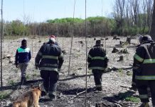 San Fernando: el Municipio y los Bomberos extinguieron un incendio en el Delta