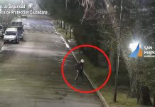 San Fernando: gracias al Centro de Operaciones, detectaron un robo y detuvieron al ladrón