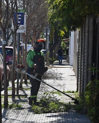 San Fernando: llevan a cabo un cuidado especial de los crespones de la ciudad
