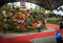 Escobar: comienzan a preparar la primera edición virtual de la Fiesta de la Flor