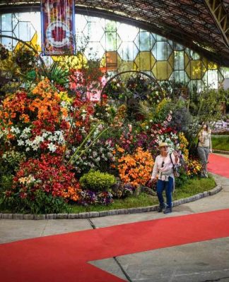 Escobar: comienzan a preparar la primera edición virtual de la Fiesta de la Flor