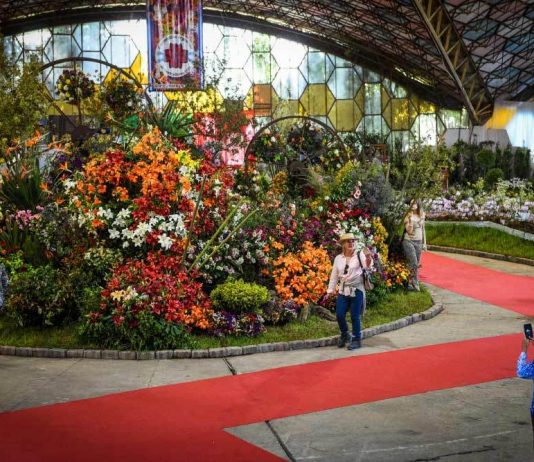 Escobar: comienzan a preparar la primera edición virtual de la Fiesta de la Flor