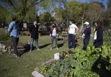 San Isidro: restaurante compra la producción de jóvenes con discapacidad de la huerta municipal
