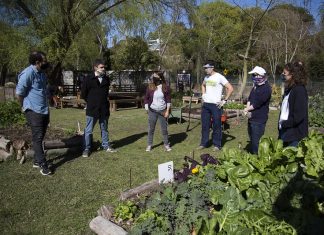 San Isidro: restaurante compra la producción de jóvenes con discapacidad de la huerta municipal
