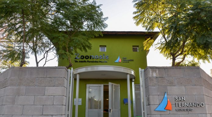 San Fernando: Zoonosis de la comuna reactiva su actividad con turnos telefónicos para castración y vacunación