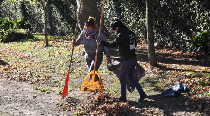 Escobar: para prevenir el dengue, adelantaron la campaña de fumigación