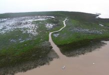 San Isidro: las nuevas islas fueron declaradas reserva natural