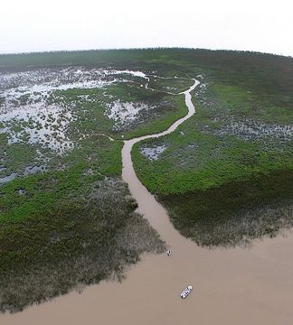 San Isidro: las nuevas islas fueron declaradas reserva natural