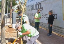 San Fernando: 5 mil árboles nuevos fueron plantados
