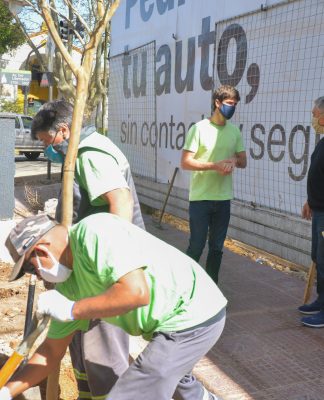 San Fernando: 5 mil árboles nuevos fueron plantados