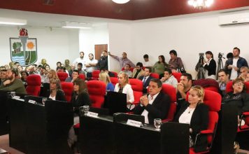 San Miguel: debate en el HCD por el caso Lucía Costa