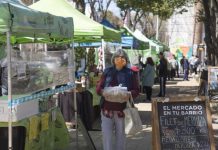 San Isidro: ‘El Mercado en tu Barrio’, ¿cómo son los protocolos en pandemia?