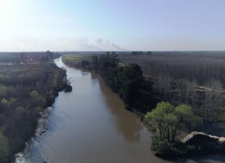 San Fernando: se celebran los 20 años desde que la UNESCO declaró la Reserva de Biósfera del Delta del Paraná